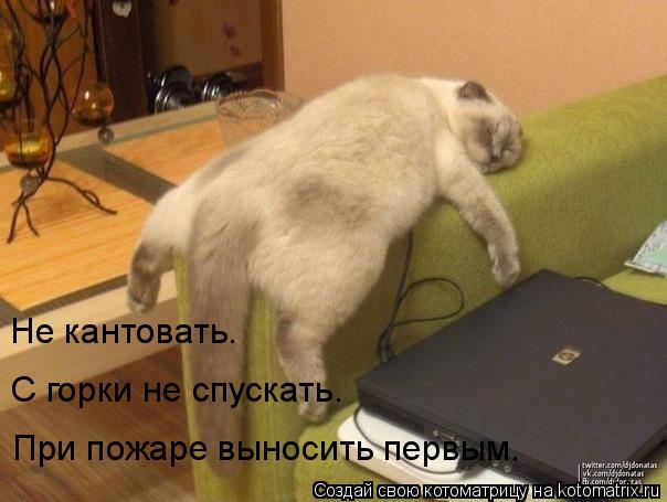 Не кантовать. С горки не спускать. При пожаре выносить первым.... Котоматрица: Не кантовать. С горки не спускать. При пожаре выносить первым.