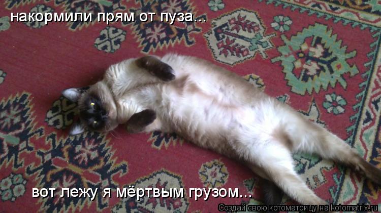 накормили прям от пуза... вот лежу я мёртвым грузом...... Котоматрица: накормили прям от пуза... вот лежу я мёртвым грузом...
