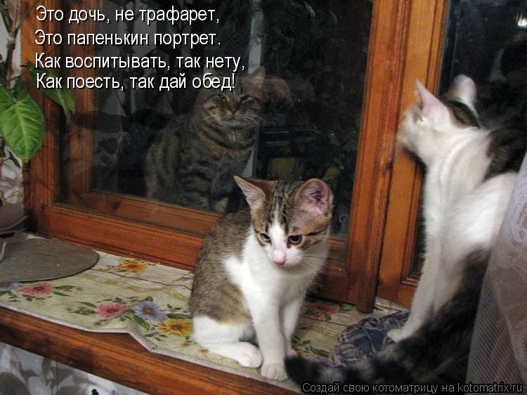Это дочь, не трафарет, Это папенькин портрет. Как воспитывать, так нету, Как поесть, так дай обед!... Котоматрица: Это дочь, не трафарет, Это папенькин портрет. Как воспитывать, так нету, Как поесть, так дай обед!