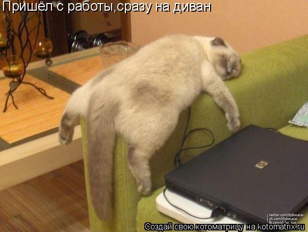 Пришёл с работы,сразу на диван... Котоматрица: Пришёл с работы,сразу на диван