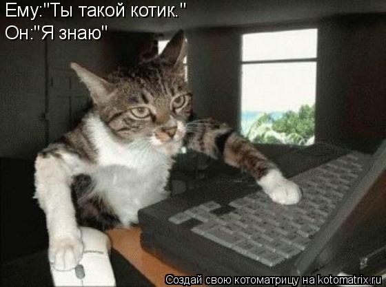 Ему:"Ты такой котик." Он:"Я знаю"... Котоматрица: Ему:"Ты такой котик." Он:"Я знаю"