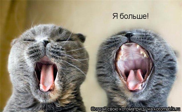 Я больше!... Котоматрица: Я больше!