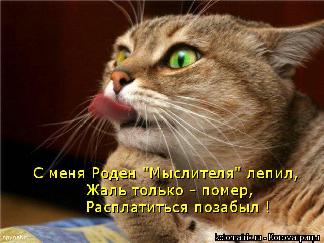 С меня Роден "Мыслителя" лепил, Жаль только - помер, Расплатиться позабыл !... Котоматрица: С меня Роден "Мыслителя" лепил, Жаль только - помер, Расплатиться позабыл !