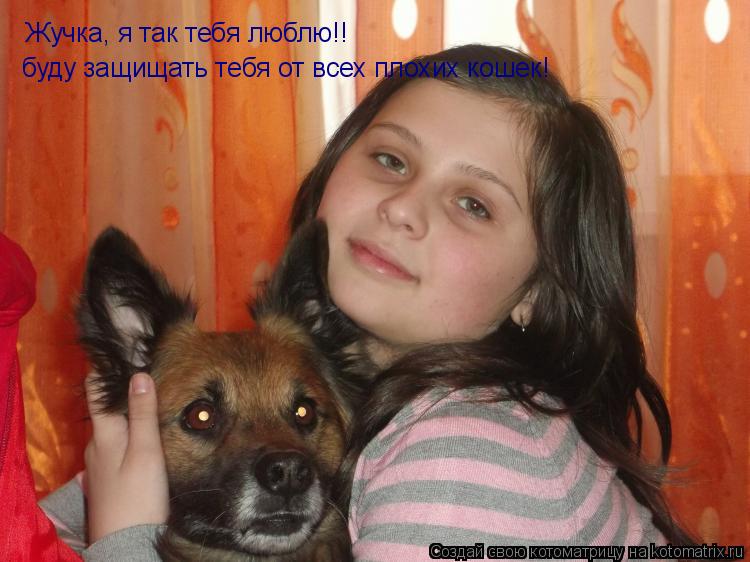 Жучка, я так тебя люблю!! буду защищать тебя от всех плохих кошек!... Котоматрица: Жучка, я так тебя люблю!! буду защищать тебя от всех плохих кошек!