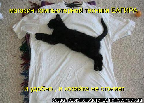 Котоматрица: магазин компьютерной техники БАГИРА и удобно , и хозяйка не сгоняет