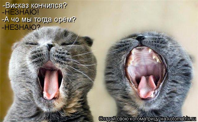 Котоматрица: -Висказ кончился? -НЕЗНАЮ! -А чо мы тогда орём? -НЕЗНАЮ?