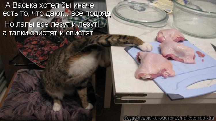 А Васька хотел бы иначе есть то, что дают... всё подряд Но лапы всё лезут и лезут! а тапки свистят и ... Котоматрица: А Васька хотел бы иначе есть то, что дают... всё подряд Но лапы всё лезут и лезут! а тапки свистят и свистят...