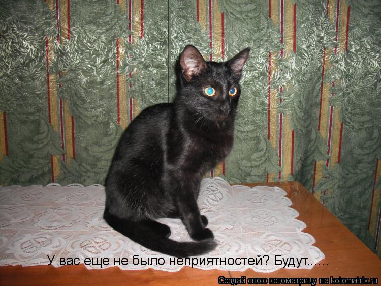 Котоматрица: У вас еще не было неприятностей? Будут......