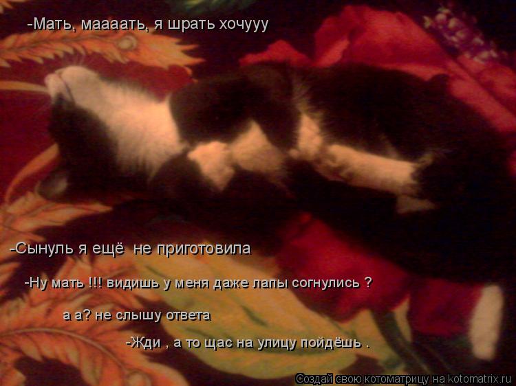 -Мать, маааать, я шрать хочууу -Сынуль я ещё не приготовила -Ну мать !!! видишь у меня даже лапы с... Котоматрица: -Мать, маааать, я шрать хочууу -Сынуль я ещё не приготовила -Ну мать !!! видишь у меня даже лапы согнулись ? а а? не слышу ответа -Жди , а то щас