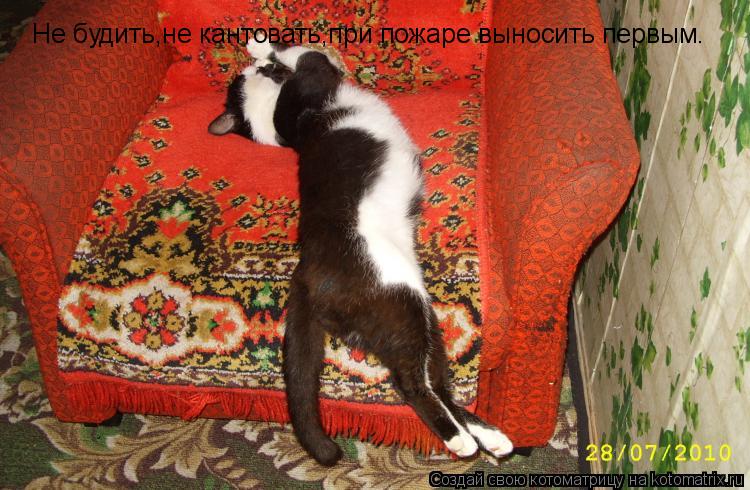 Не будить,не кантовать,при пожаре выносить первым.... Котоматрица: Не будить,не кантовать,при пожаре выносить первым.
