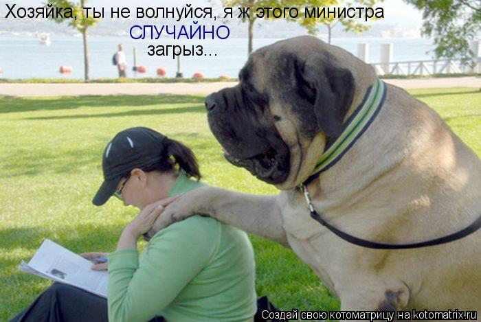 Хозяйка, ты не волнуйся, я ж этого министра СЛУЧАЙНО загрыз...... Котоматрица: Хозяйка, ты не волнуйся, я ж этого министра СЛУЧАЙНО загрыз...