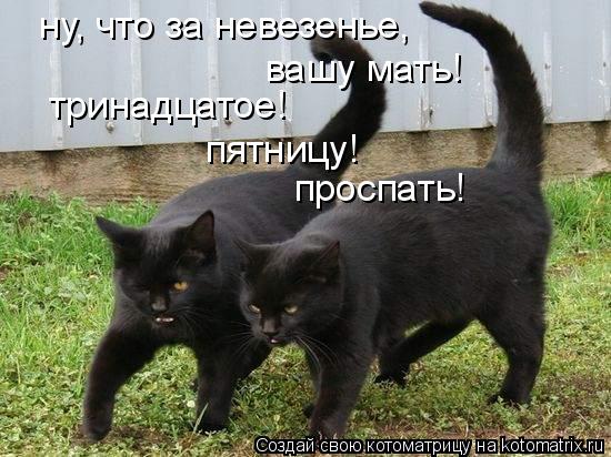 тринадцатое! пятницу! проспать! ну, что за невезенье, вашу мать!... Котоматрица: тринадцатое! пятницу! проспать! ну, что за невезенье, вашу мать!
