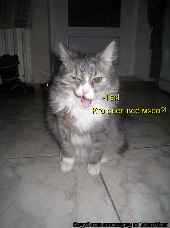 -Так! Кто съел всё мясо?!... Котоматрица: -Так! Кто съел всё мясо?!