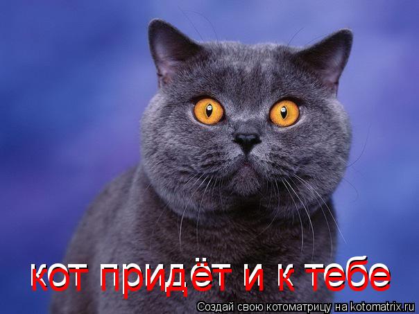кот придёт и к тебе кот придёт и к тебе... Котоматрица: кот придёт и к тебе кот придёт и к тебе