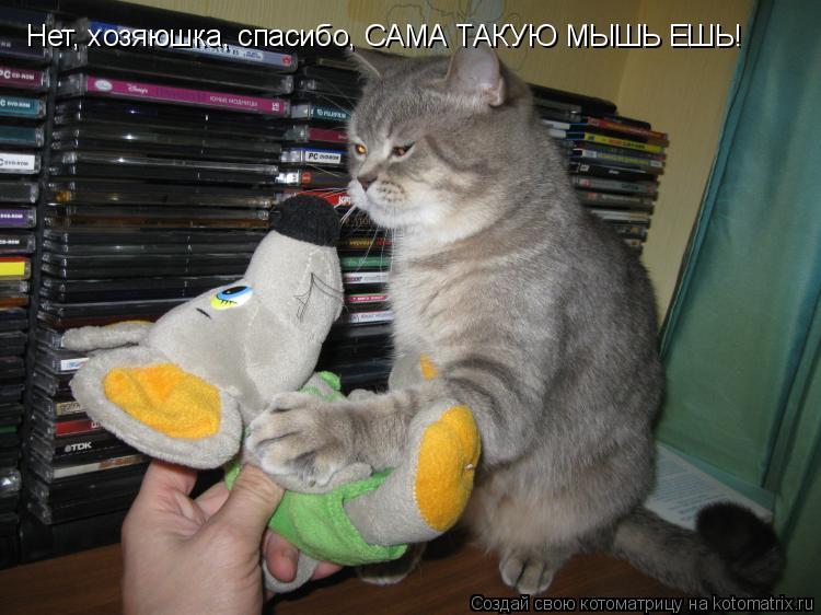 Нет, хозяюшка, спасибо, САМА ТАКУЮ МЫШЬ ЕШЬ!... Котоматрица: Нет, хозяюшка, спасибо, САМА ТАКУЮ МЫШЬ ЕШЬ!