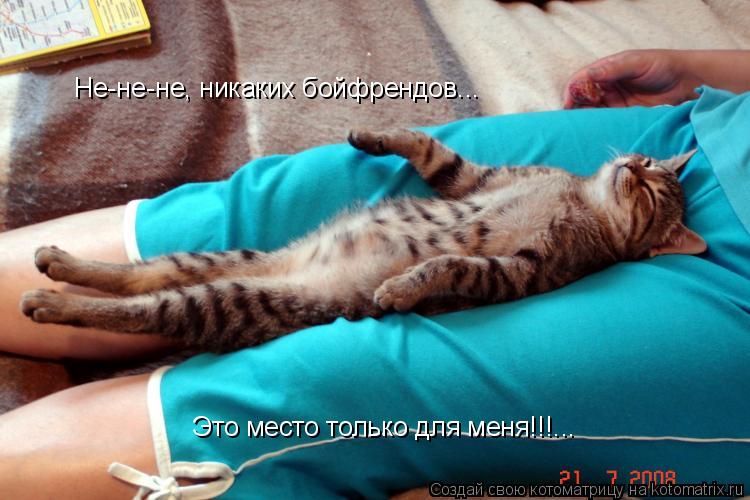 Не-не-не, никаких бойфрендов... Это место только для меня!!!...... Котоматрица: Не-не-не, никаких бойфрендов... Это место только для меня!!!...