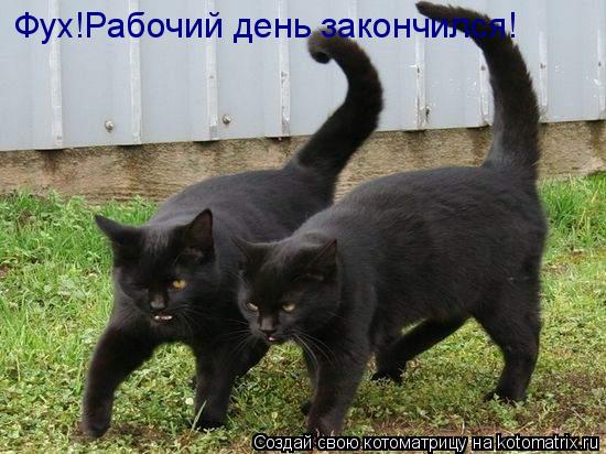 Фух!Рабочий день закончился!... Котоматрица: Фух!Рабочий день закончился!