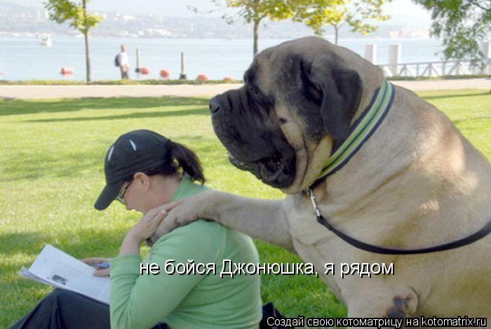 не бойся Джонюшка, я рядом... Котоматрица: не бойся Джонюшка, я рядом