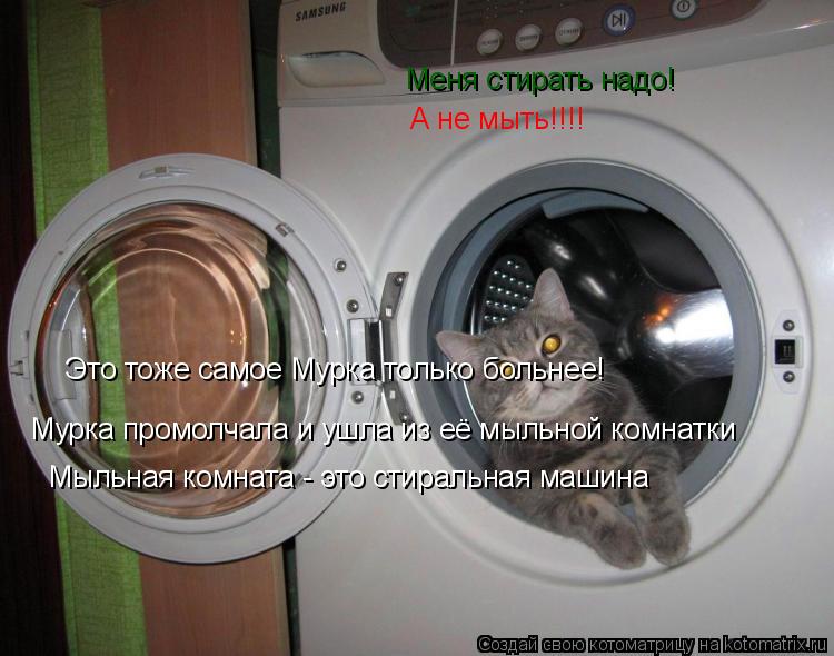 Меня стирать надо! А не мыть!!!! Это тоже самое Мурка только больнее! Мурка промолчала и ушла из её ... Котоматрица: Меня стирать надо! А не мыть!!!! Это тоже самое Мурка только больнее! Мурка промолчала и ушла из её мыльной комнатки Мыльная комната - это сти