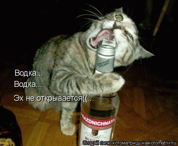Водка... Водка... Водка... Водка... Эх не открывается((...... Котоматрица: Водка... Водка... Водка... Водка... Эх не открывается((...