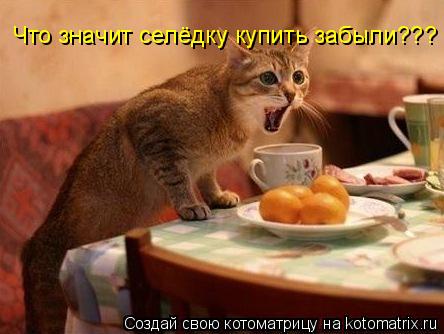 Что значит селёдку купить забыли???... Котоматрица: Что значит селёдку купить забыли???