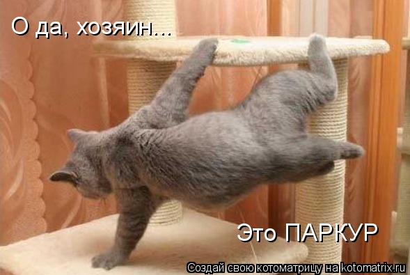 О да, хозяин... Это ПАРКУР... Котоматрица: О да, хозяин... Это ПАРКУР