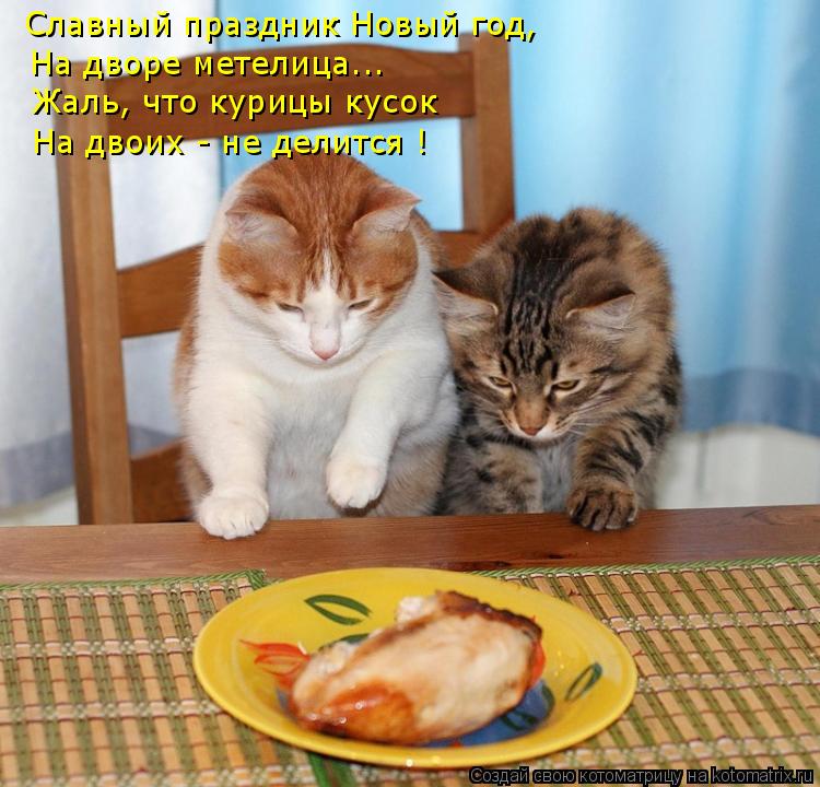 Славный праздник Новый год, На дворе метелица... Жаль, что курицы кусок На двоих - не делится !... Котоматрица: Славный праздник Новый год, На дворе метелица... Жаль, что курицы кусок На двоих - не делится !
