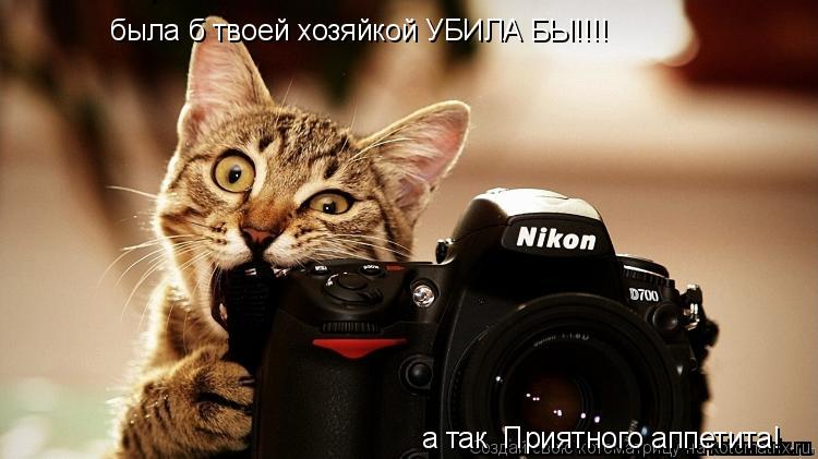 была б твоей хозяйкой УБИЛА БЫ!!!! а так Приятного аппетита!... Котоматрица: была б твоей хозяйкой УБИЛА БЫ!!!! а так Приятного аппетита!