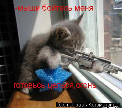 -мыши бойтесь меня готовьсь,целься,огонь... Котоматрица: -мыши бойтесь меня готовьсь,целься,огонь