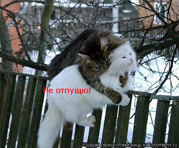 Не отпущю!... Котоматрица: Не отпущю!