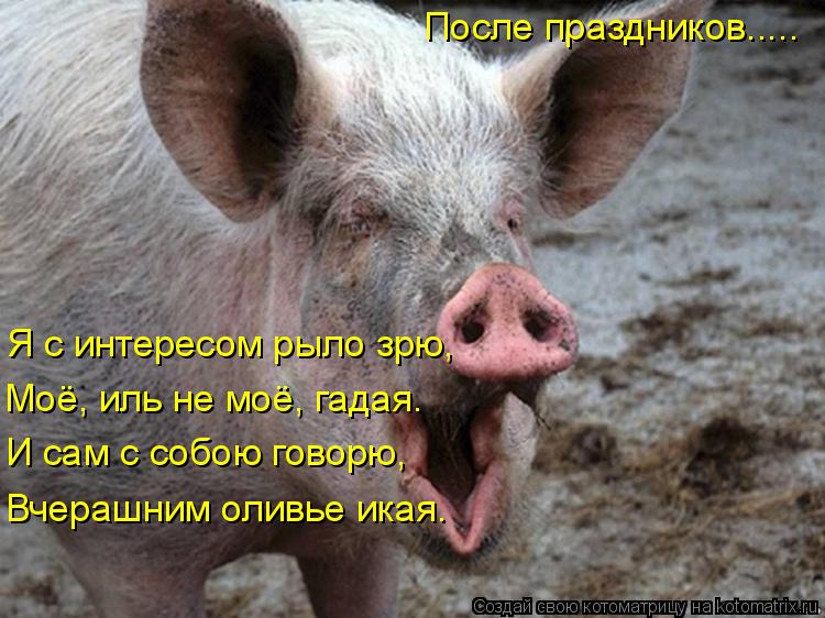 Я с интересом рыло зрю, Моё, иль не моё, гадая. И сам с собою говорю, Вчерашним оливье икая. После пр... Котоматрица: Я с интересом рыло зрю, Моё, иль не моё, гадая. И сам с собою говорю, Вчерашним оливье икая. После праздников.....