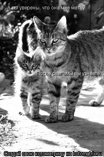 А вы уверены, что она мне мать? После рекламы вы узнаете....... Котоматрица: А вы уверены, что она мне мать? После рекламы вы узнаете....