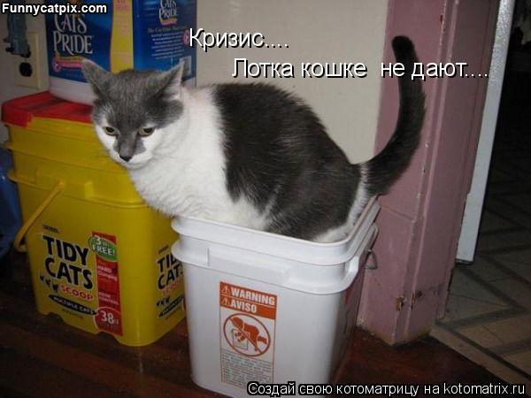 Кризис.... Лотка кошке не дают....... Котоматрица: Кризис.... Лотка кошке не дают....