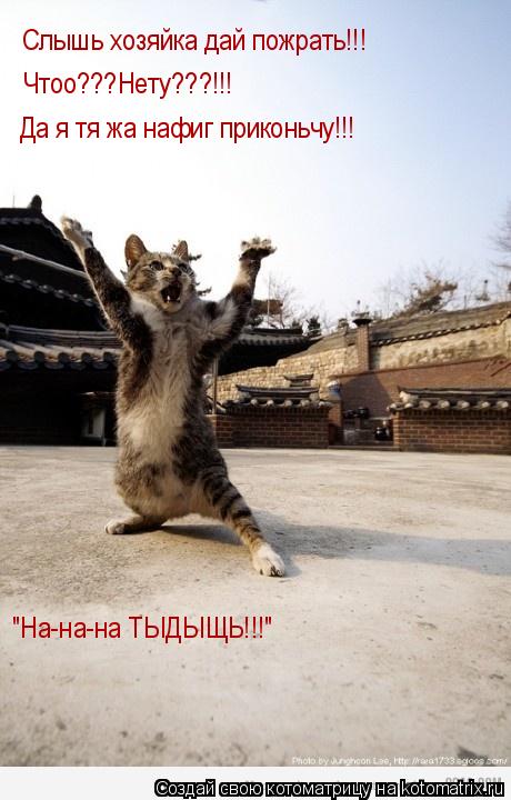 Слышь хозяйка дай пожрать!!! Чтоо???Нету???!!! Да я тя жа нафиг приконьчу!!! "На-на-на ТЫДЫЩЬ!!!"... Котоматрица: Слышь хозяйка дай пожрать!!! Чтоо???Нету???!!! Да я тя жа нафиг приконьчу!!! "На-на-на ТЫДЫЩЬ!!!"