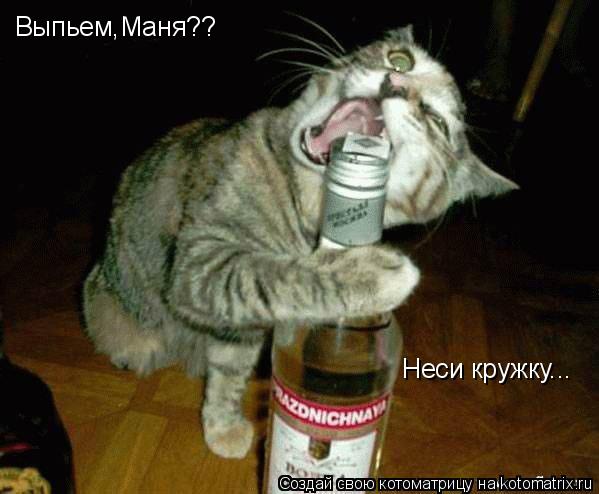 Выпьем,Маня?? Неси кружку...... Котоматрица: Выпьем,Маня?? Неси кружку...