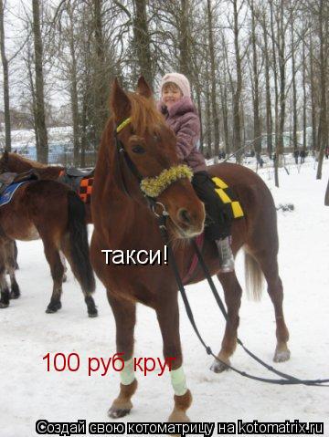 такси! 100 руб круг... Котоматрица: такси! 100 руб круг
