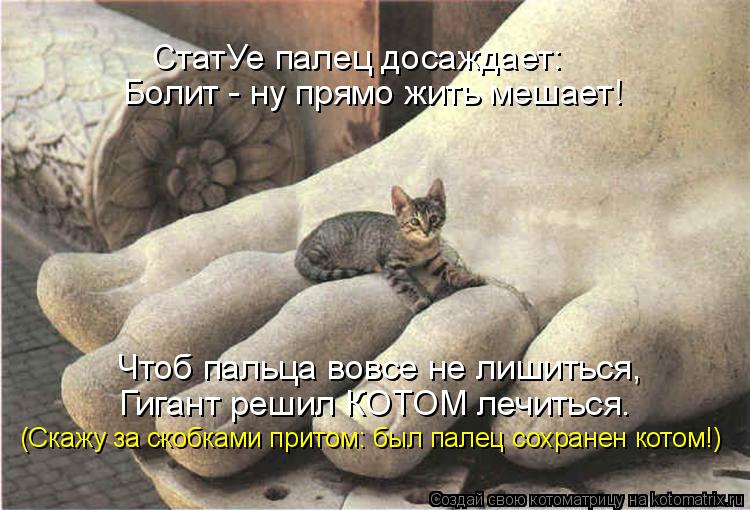 Чтоб пальца вовсе не лишиться, Гигант решил КОТОМ лечиться. СтатУе палец досаждает: Болит - ну прямо ... Котоматрица: Чтоб пальца вовсе не лишиться, Гигант решил КОТОМ лечиться. СтатУе палец досаждает: Болит - ну прямо жить мешает! (Скажу за скобками притом: б
