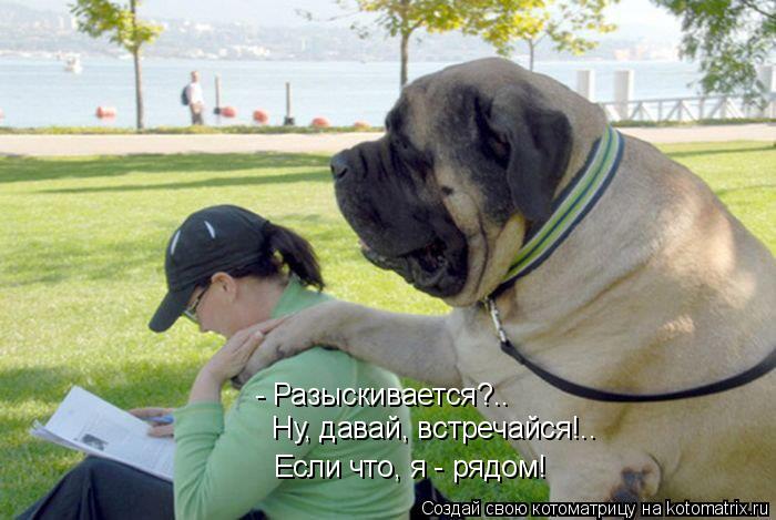 - Разыскивается?.. Ну, давай, встречайся!.. Если что, я - рядом!... Котоматрица: - Разыскивается?.. Ну, давай, встречайся!.. Если что, я - рядом!
