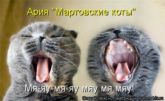 Ария "Мартовские коты" Мя-яу-мя-яу мяу мя мяу!... Котоматрица: Ария "Мартовские коты" Мя-яу-мя-яу мяу мя мяу!