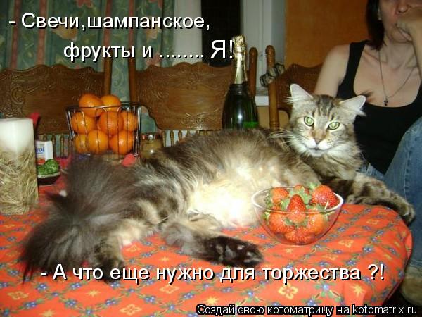 фрукты и ........ Я! - Свечи,шампанское, - А что еще нужно для торжества ?!... Котоматрица: фрукты и ........ Я! - Свечи,шампанское, - А что еще нужно для торжества ?!