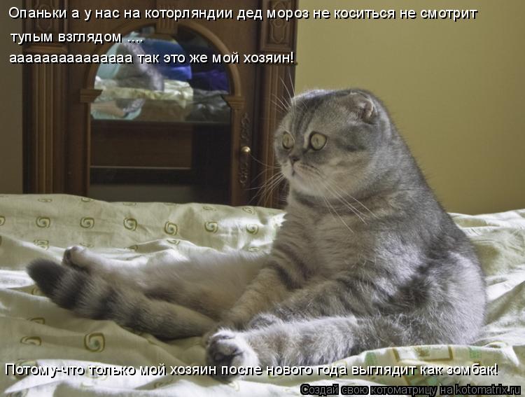 Опаньки а у нас на которляндии дед мороз не коситься не смотрит тупым взглядом .... ааааааааааааааа... Котоматрица: Опаньки а у нас на которляндии дед мороз не коситься не смотрит тупым взглядом .... ааааааааааааааа так это же мой хозяин! Потому-что только