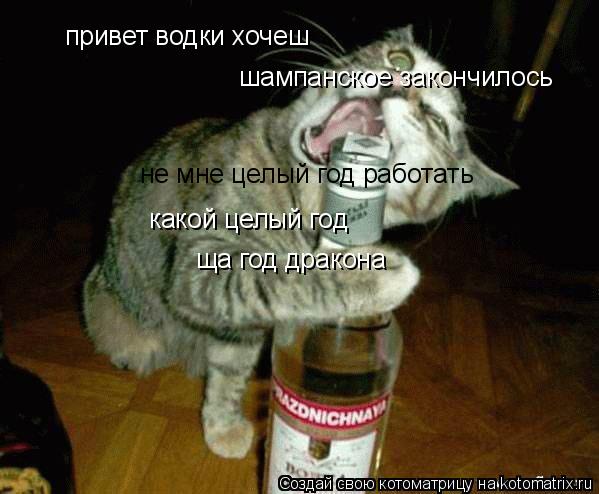 привет водки хочеш шампанское закончилось не мне целый год работать какой целый год ща год дракона... Котоматрица: привет водки хочеш шампанское закончилось не мне целый год работать какой целый год ща год дракона