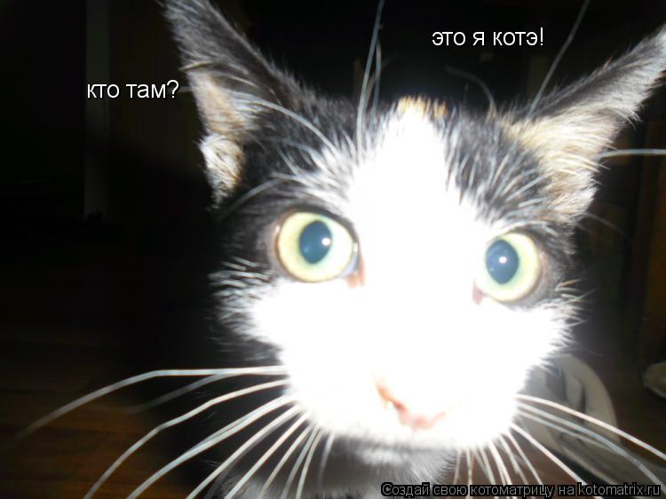 кто там? это я котэ!... Котоматрица: кто там? это я котэ!