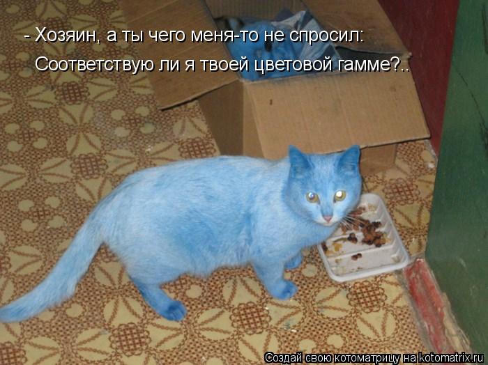 - Хозяин, а ты чего меня-то не спросил: Соответствую ли я твоей цветовой гамме?..... Котоматрица: - Хозяин, а ты чего меня-то не спросил: Соответствую ли я твоей цветовой гамме?..