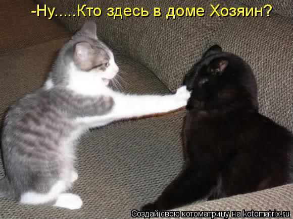 -Ну.....Кто здесь в доме Хозяин?... Котоматрица: -Ну.....Кто здесь в доме Хозяин?