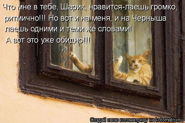 Что мне в тебе, Шарик, нравится-лаешь громко, ритмично!!! Но вот и на меня, и на Черныша лаешь одним... Котоматрица: Что мне в тебе, Шарик, нравится-лаешь громко, ритмично!!! Но вот и на меня, и на Черныша лаешь одними и теми же словами! А вот это уже обидно!!!