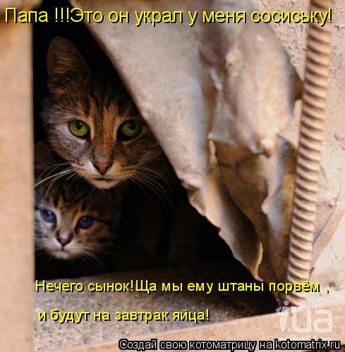 Папа !!!Это он украл у меня сосиську! Нечего сынок!Ща мы ему штаны порвём , и будут на завтрак яйца!... Котоматрица: Папа !!!Это он украл у меня сосиську! Нечего сынок!Ща мы ему штаны порвём , и будут на завтрак яйца!
