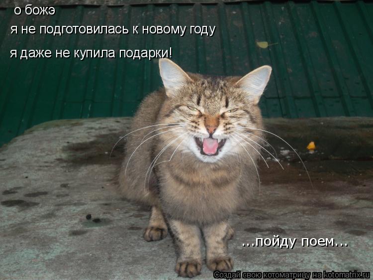 о божэ я не подготовилась к новому году я даже не купила подарки! ...пойду поем...... Котоматрица: о божэ я не подготовилась к новому году я даже не купила подарки! ...пойду поем...