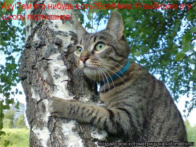 Ауу!Там кто нибудь есть?Всё!Ника!Я выбираю эту школу портизанов!... Котоматрица: Ауу!Там кто нибудь есть?Всё!Ника!Я выбираю эту школу портизанов!