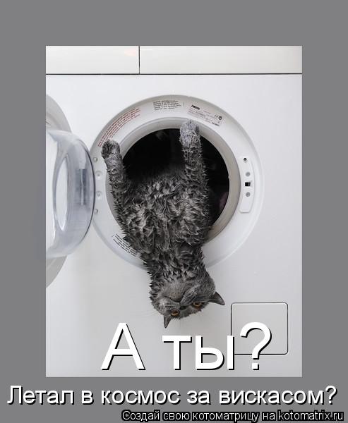 А ты? Летал в космос за вискасом?... Котоматрица: А ты? Летал в космос за вискасом?